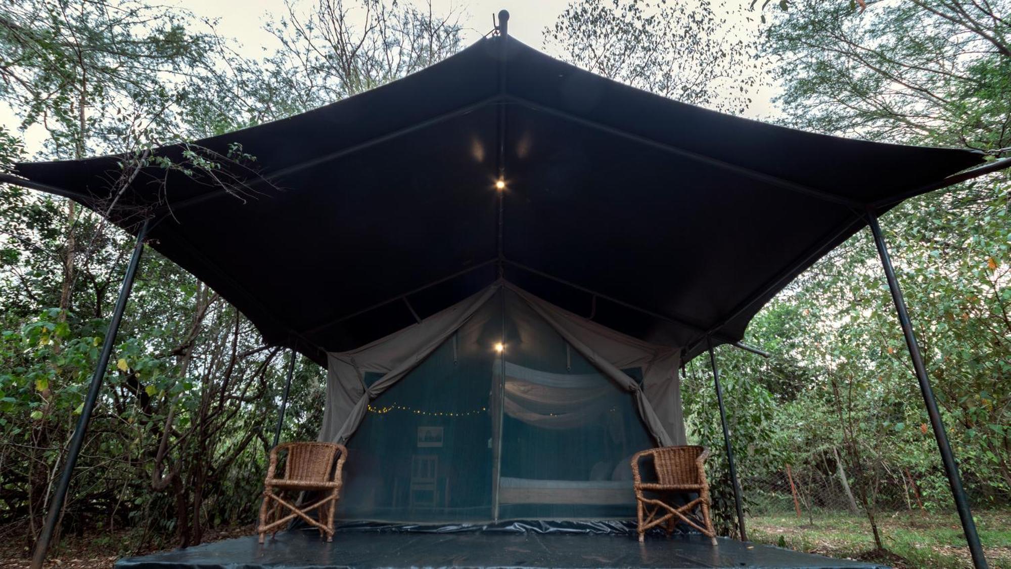 Talek Bush Camp , Masai Mara Hotel Room photo