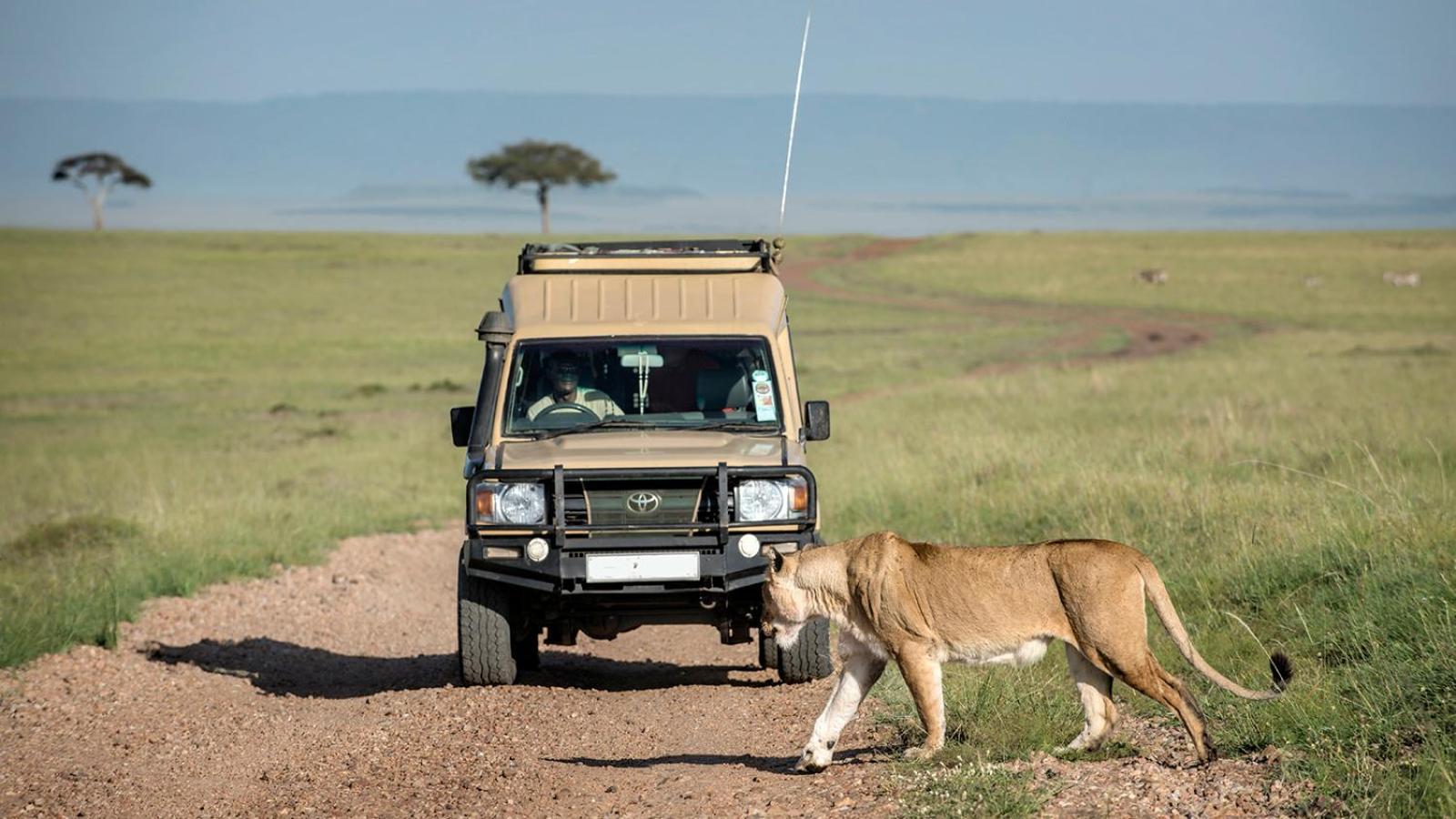 Talek Bush Camp , Masai Mara Hotel Exterior photo