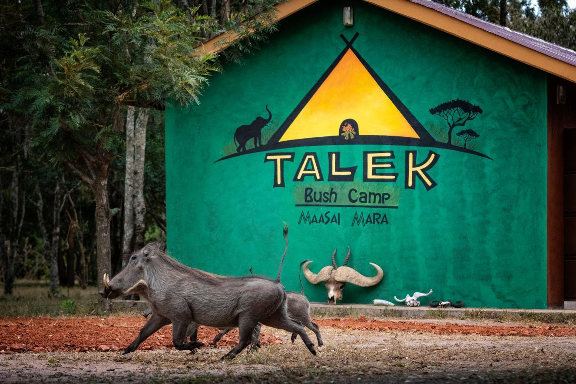 Talek Bush Camp , Masai Mara Hotel Exterior photo