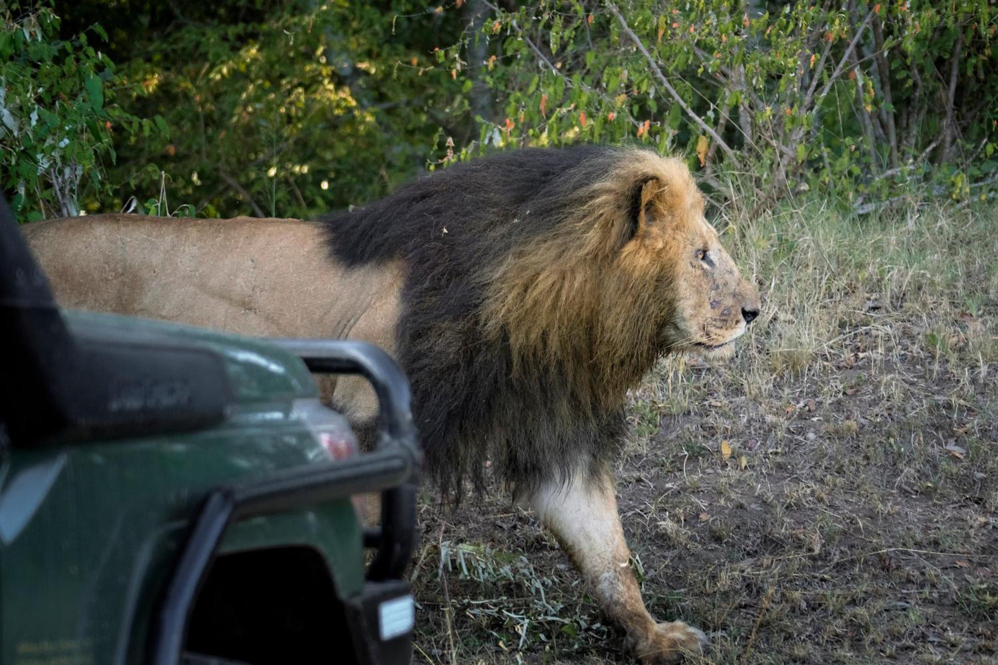 Talek Bush Camp , Masai Mara Hotel Exterior photo