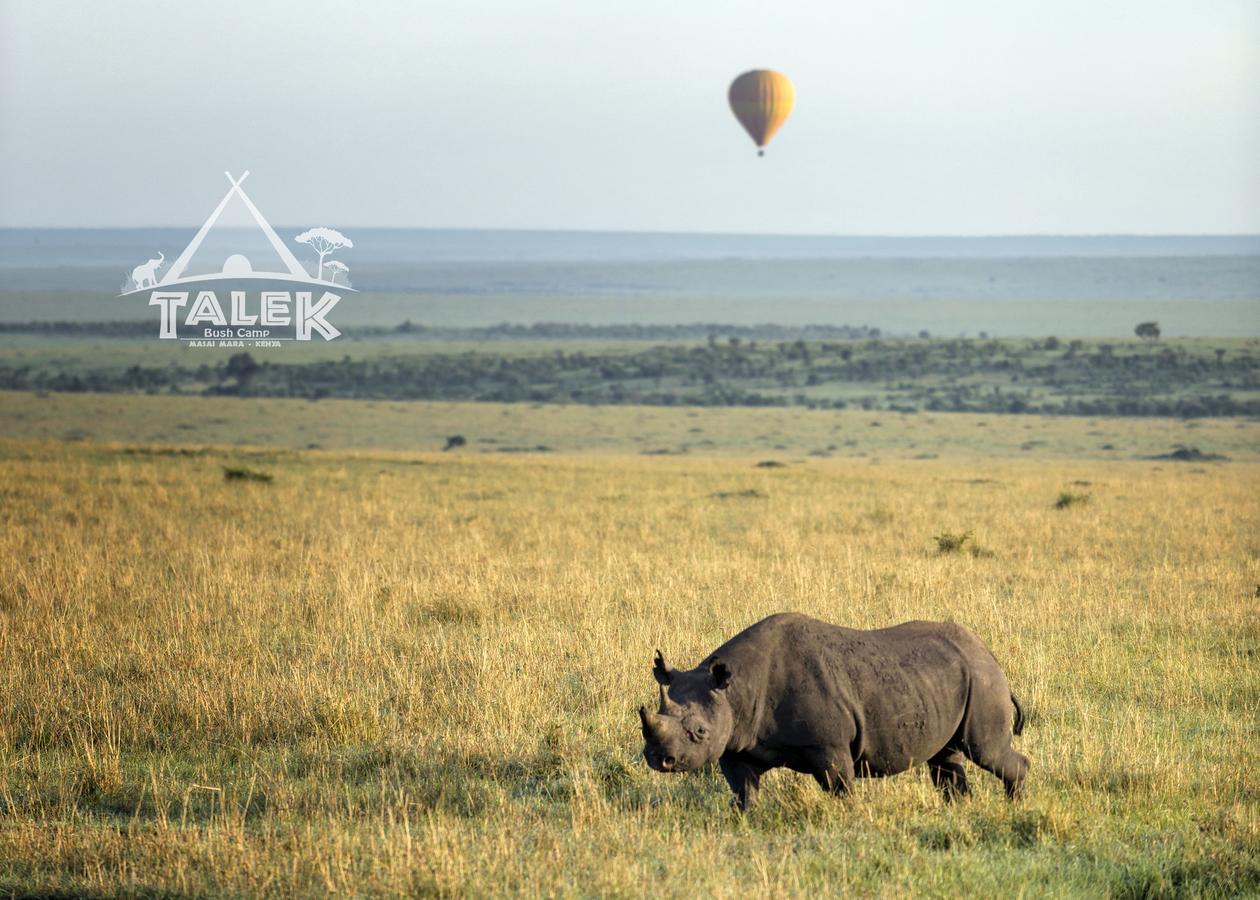 Talek Bush Camp , Masai Mara Hotel Exterior photo